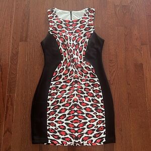 Animal Print Dress